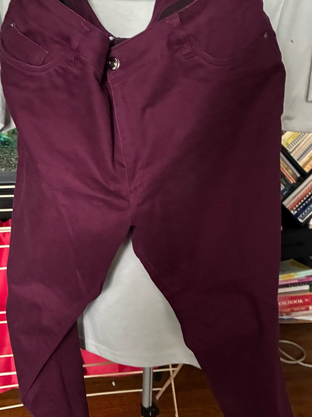 Plum Stretch Skinny Pants